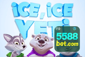 5588BET feedback — formulário de envio no aplicativo oficial